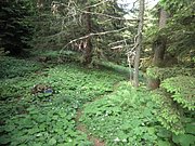 P6120074.JPG