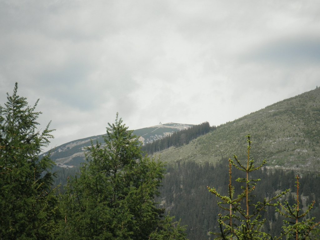 P5140010.JPG