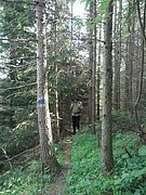 P5140009.JPG