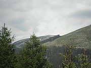 P5140010.JPG