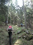 P5140012.JPG