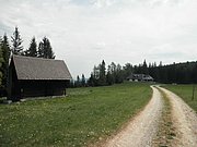 P5140013.JPG