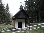 P5140015.JPG