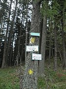 P5140020.JPG