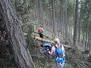 P5140021.JPG