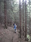 P5140022.JPG
