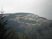 P5140023.JPG