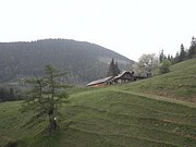 P5140026.JPG