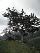 P5140029.JPG
