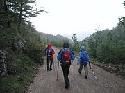 P5140033.JPG