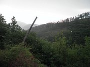 P5140034.JPG