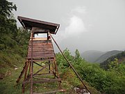 P5140036.JPG