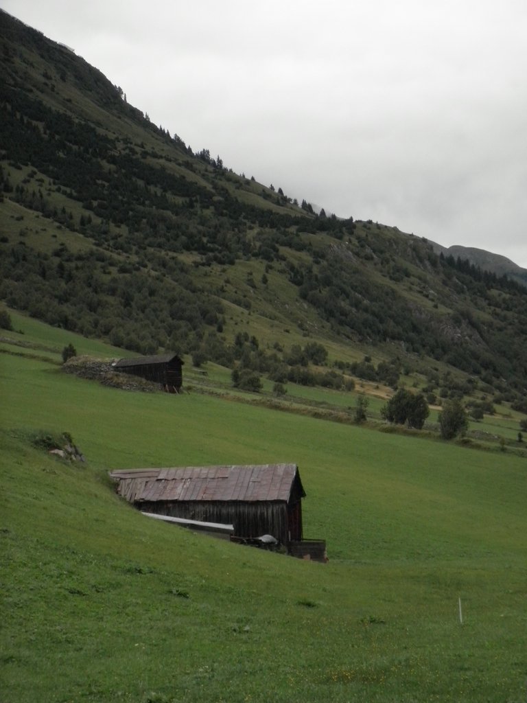 P8170207.JPG