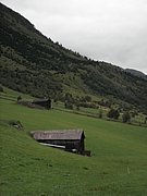 P8170207.JPG