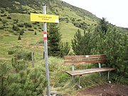 P8170218.JPG