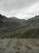 P8170265.JPG