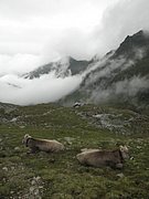 P8170275.JPG