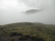 P8170295.JPG