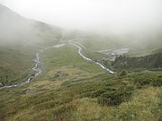 P8170299.JPG