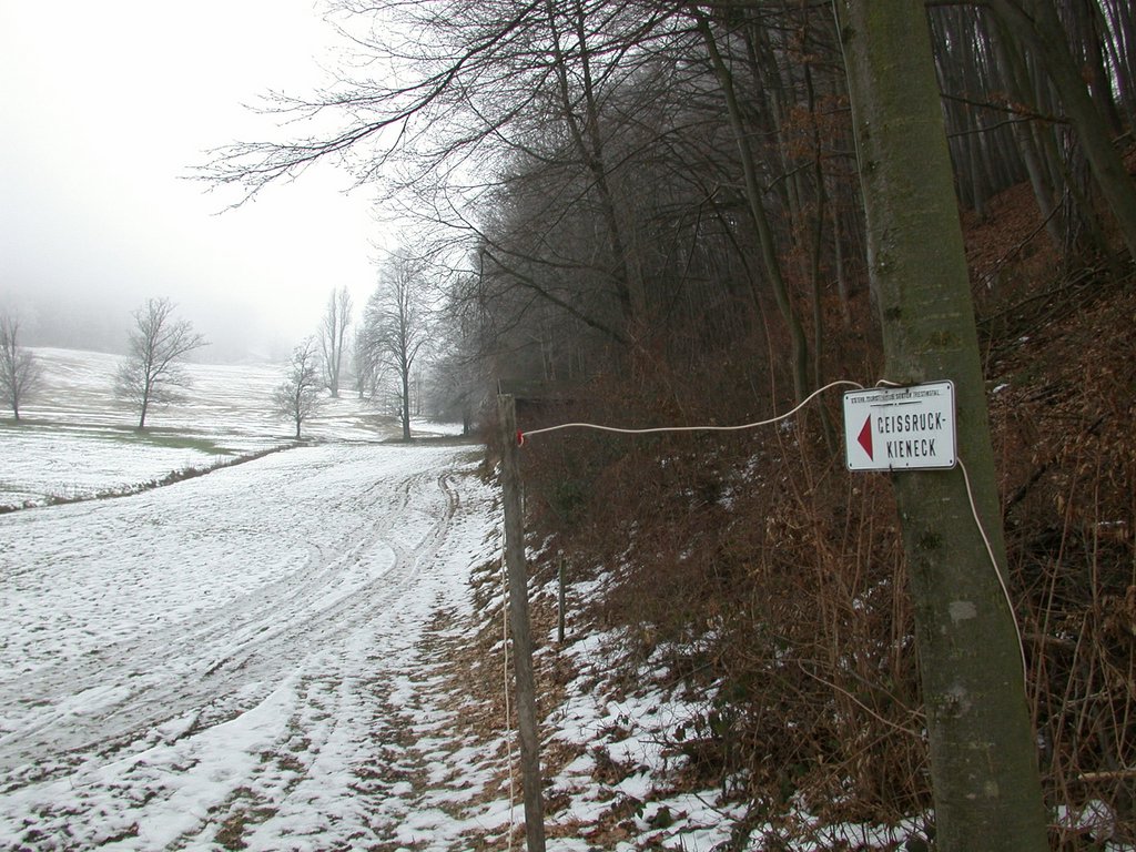 DSCN4241.JPG