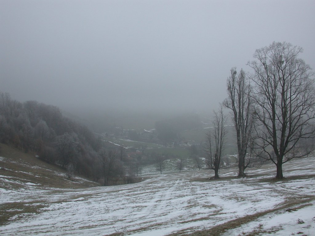 DSCN4242.JPG