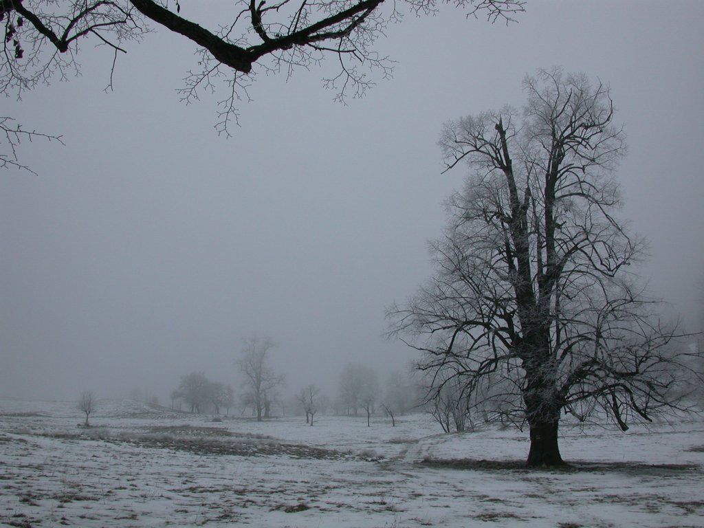 DSCN4243.JPG
