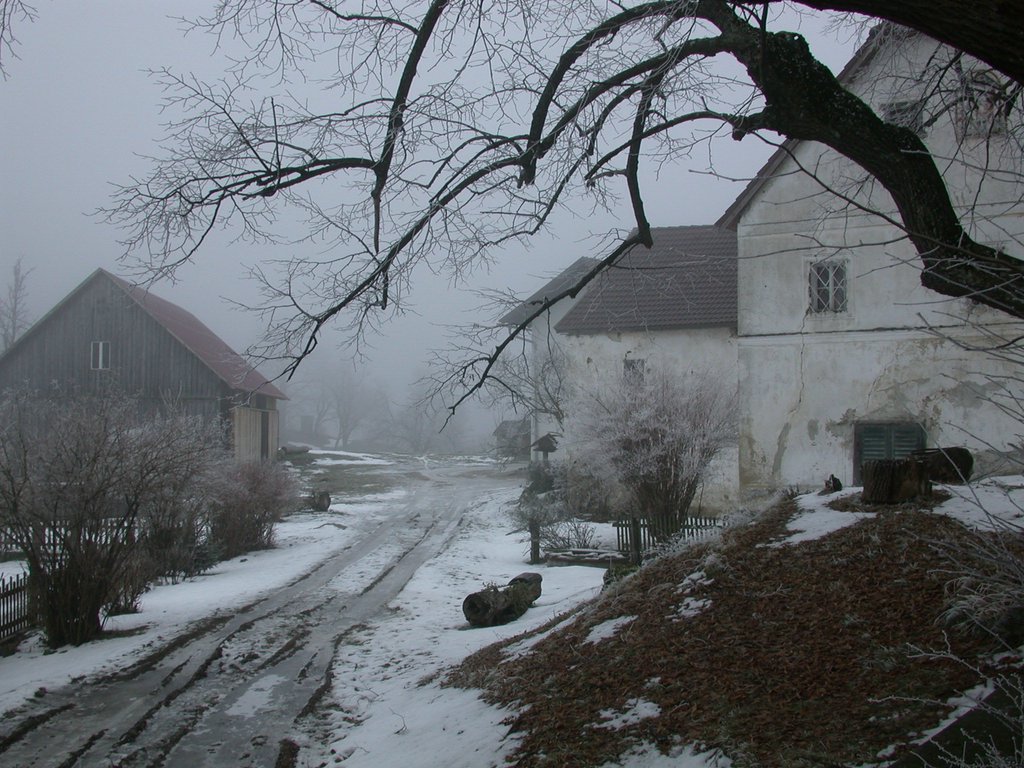 DSCN4245.JPG