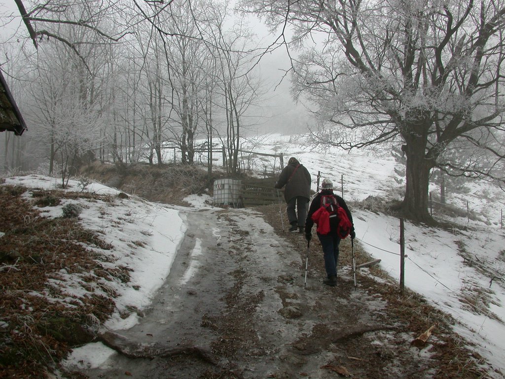 DSCN4247.JPG