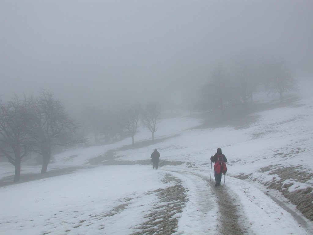 DSCN4254.JPG