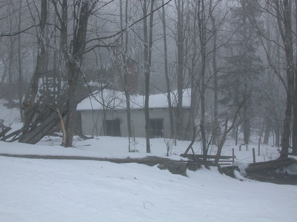 DSCN4258.JPG