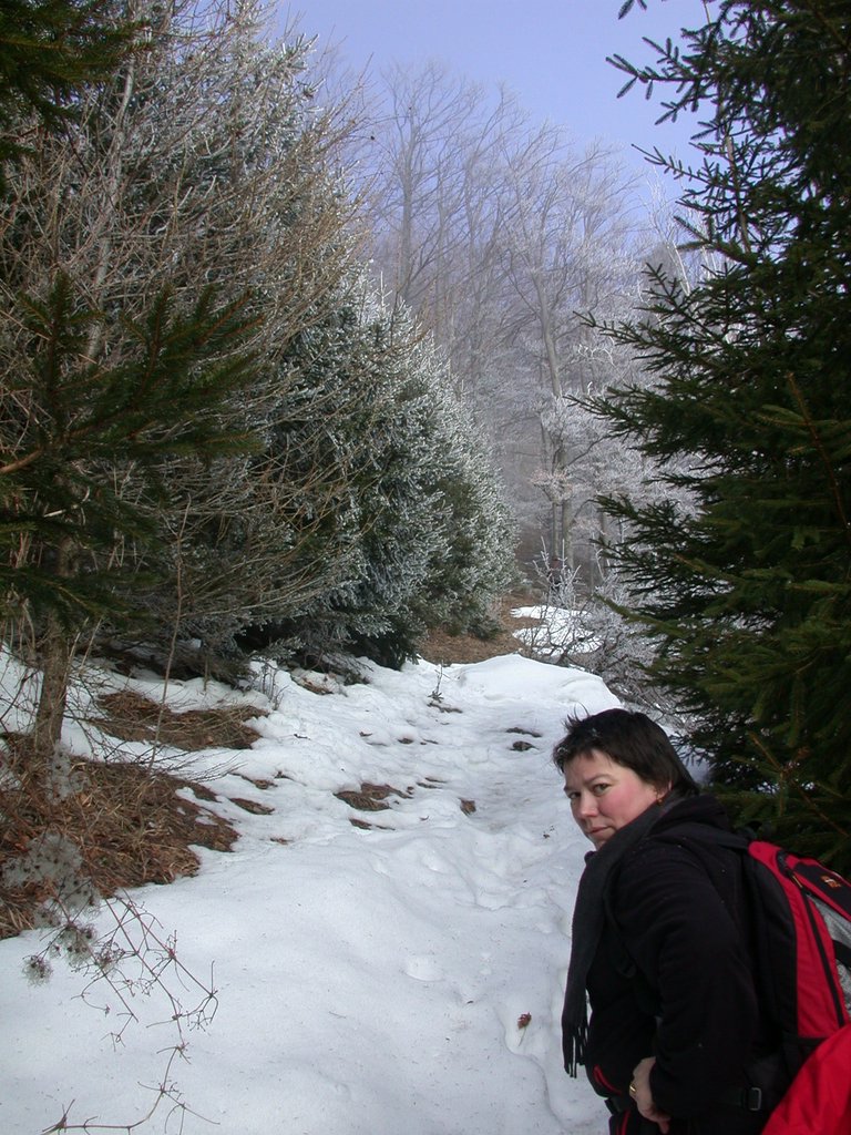 DSCN4261.JPG