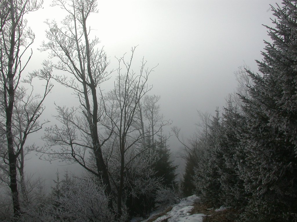 DSCN4264.JPG