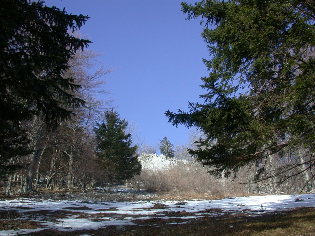 DSCN4266.JPG
