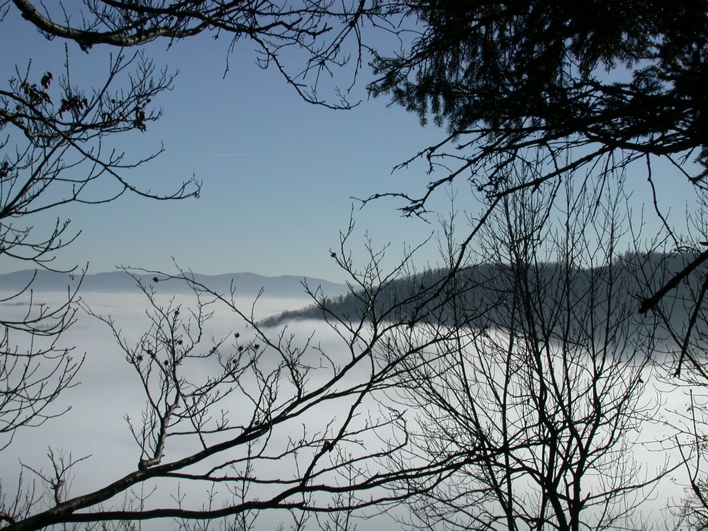 DSCN4272.JPG