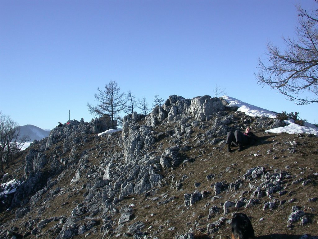 DSCN4275.JPG