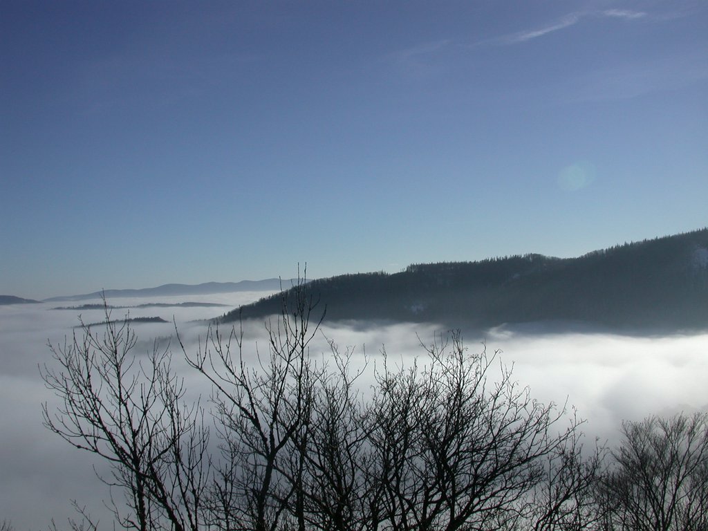 DSCN4279.JPG