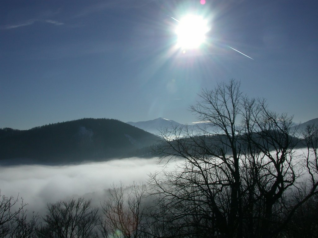 DSCN4280.JPG