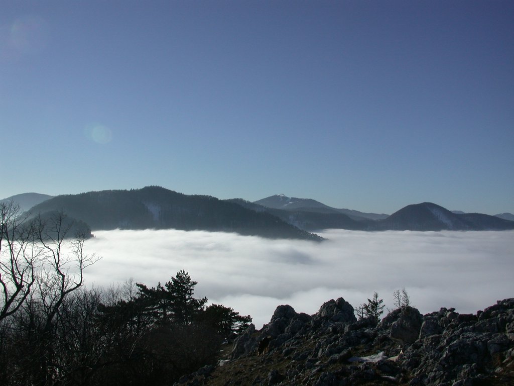 DSCN4281.JPG