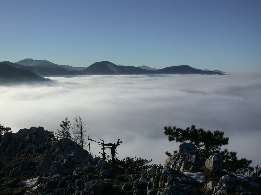 DSCN4296.JPG