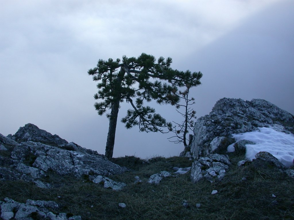 DSCN4299.JPG