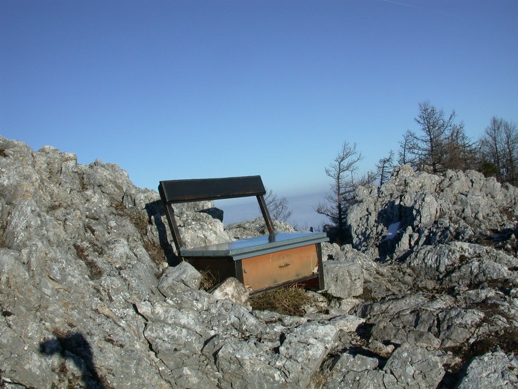 DSCN4303.JPG