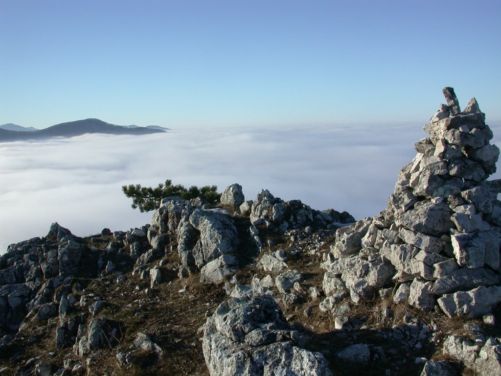 DSCN4307.JPG
