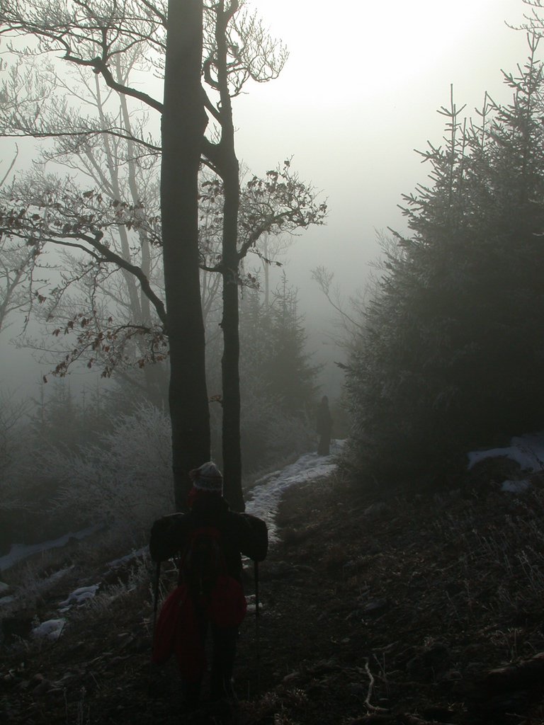 DSCN4311.JPG