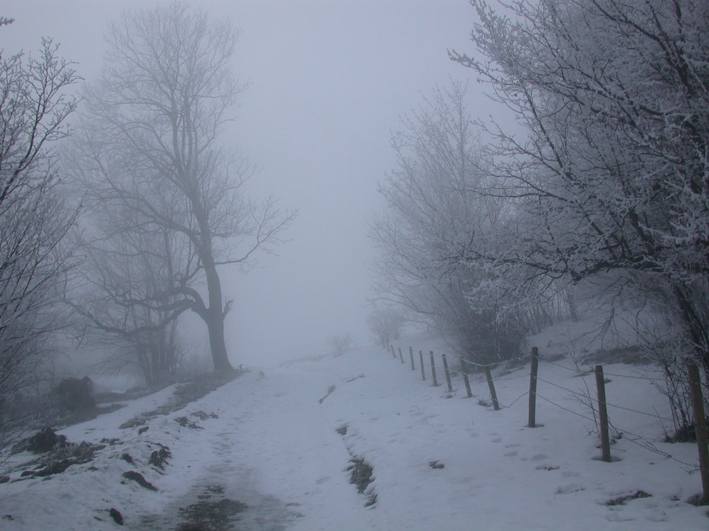 DSCN4313.JPG