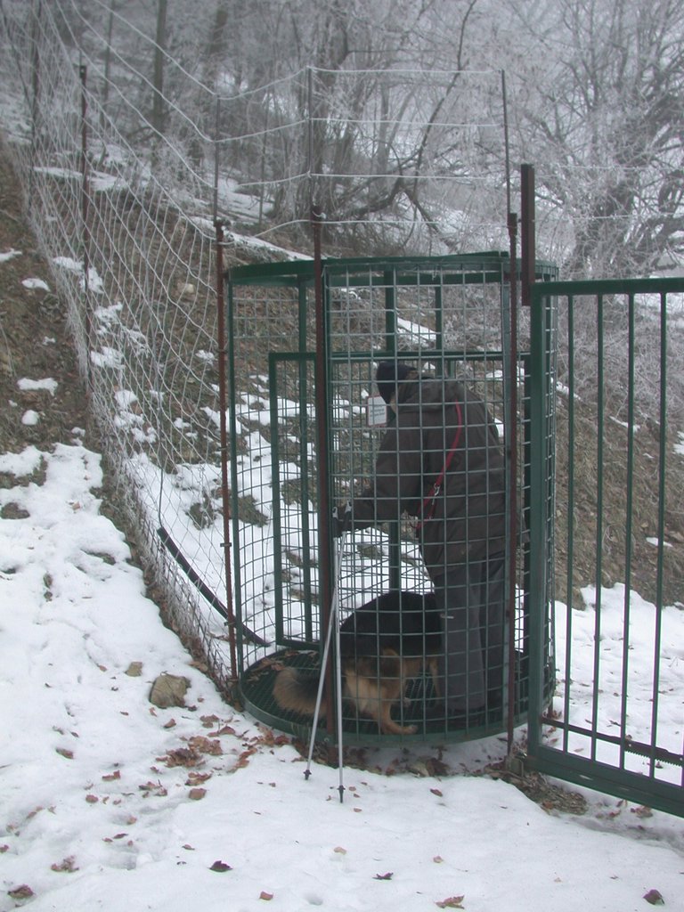 DSCN4314.JPG