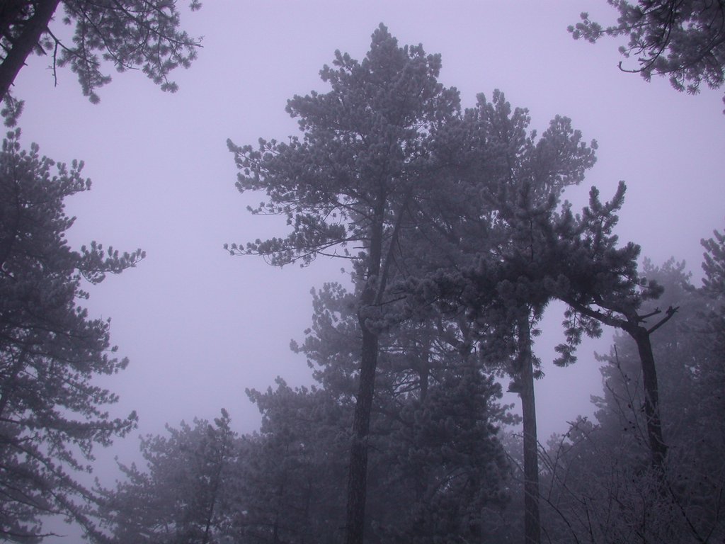 DSCN4316.JPG