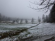 DSCN4239.JPG