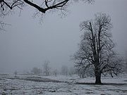 DSCN4243.JPG