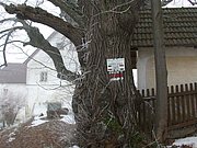 DSCN4246.JPG