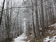 DSCN4251.JPG